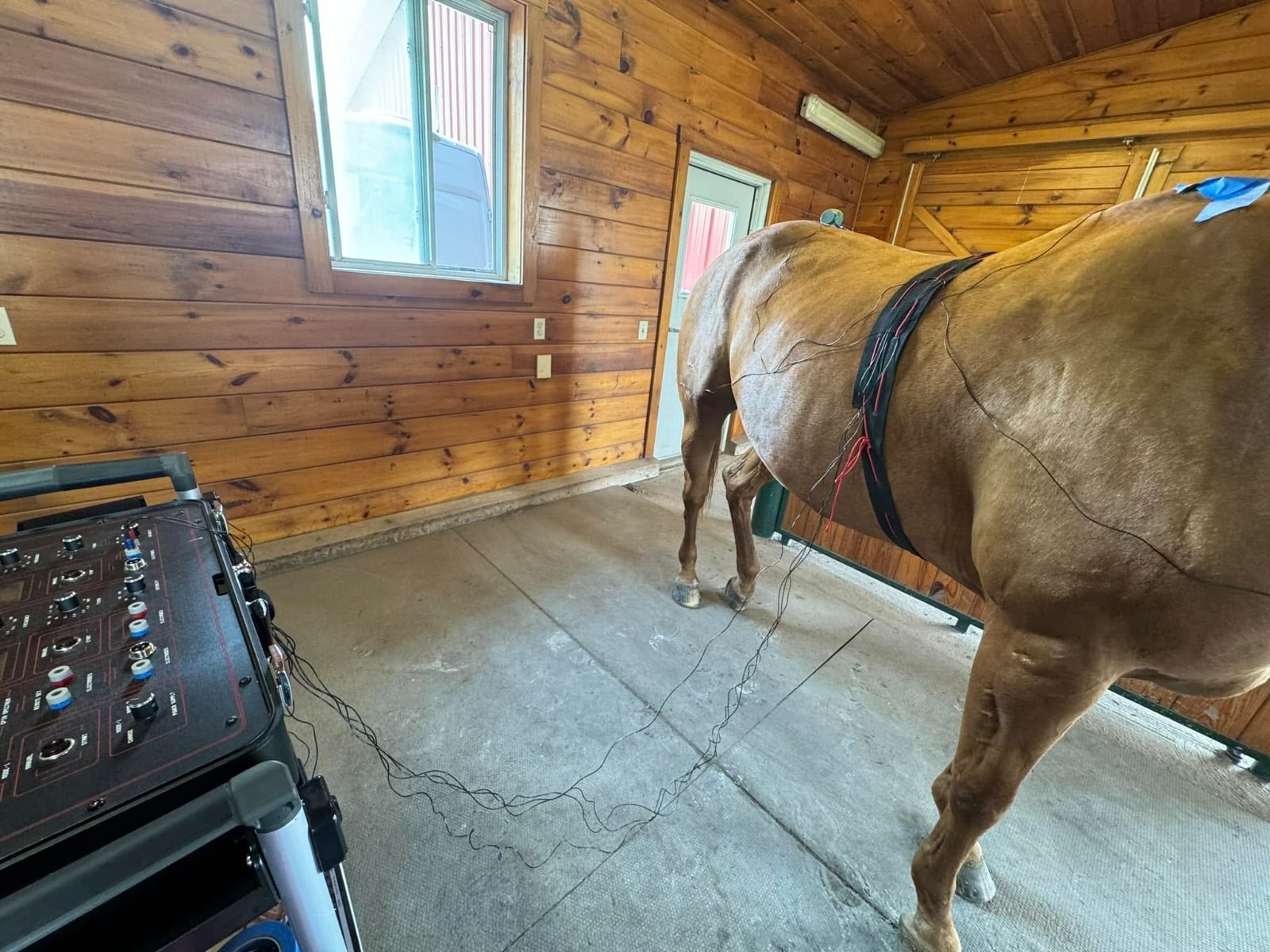 Winner's Edge Horse Therapy Electro-Equiscope Horse Therapy